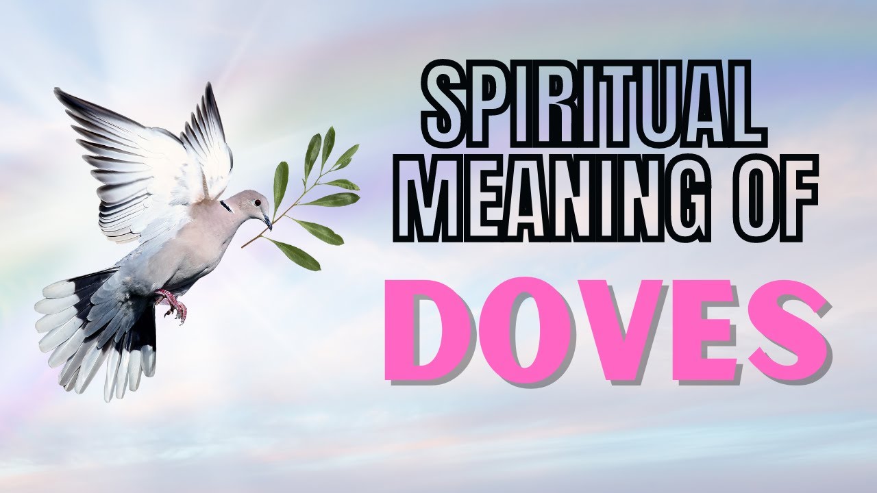 🕊️ 7 Surprising Facts About Google History You Didn't Know 2 dove symbol