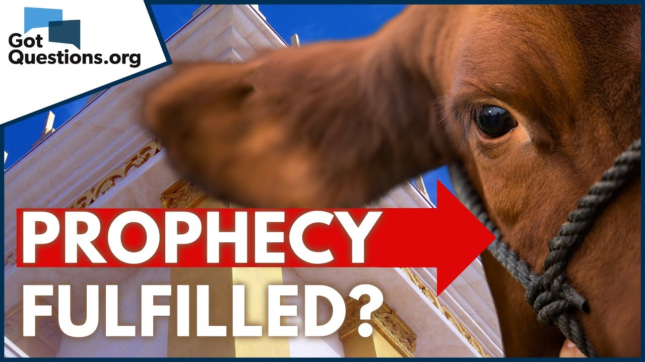 Red Heifer Bible Verse: 7 Fascinating Insights Unveiled 4 red heifer bible verse