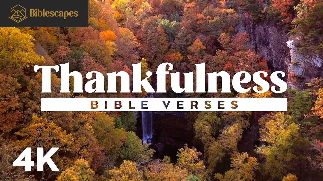 Thankful for Friendship Bible Verses: 7 Inspiring Quotes 5 thankful for friendship bible verses