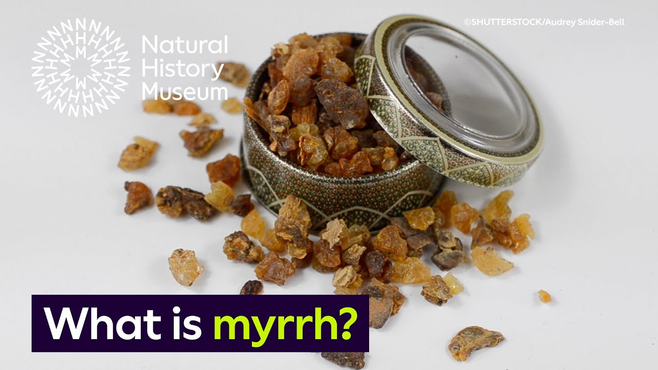 what is myrrh