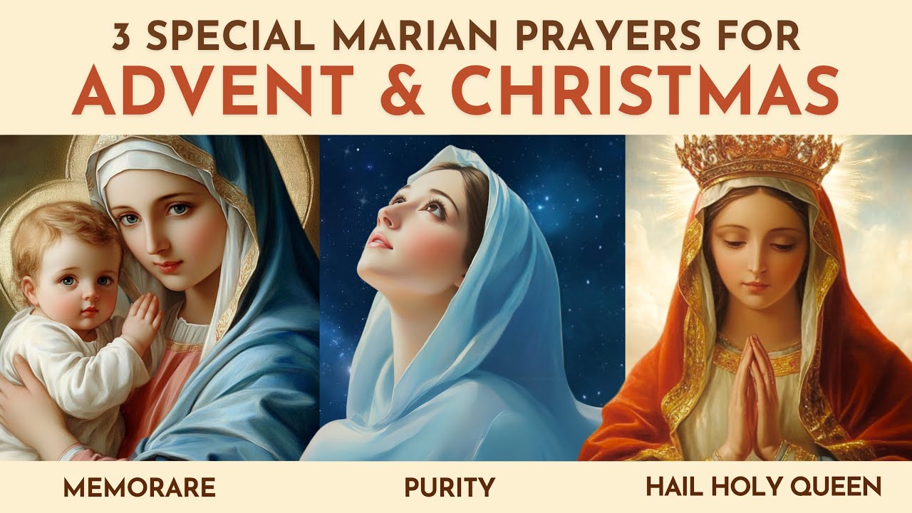 prayer to mary during advent