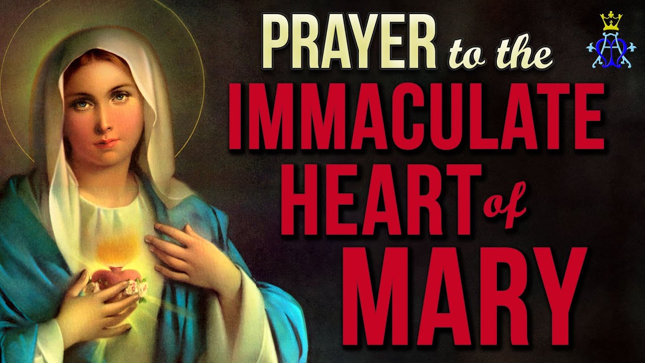prayer to mary immaculate