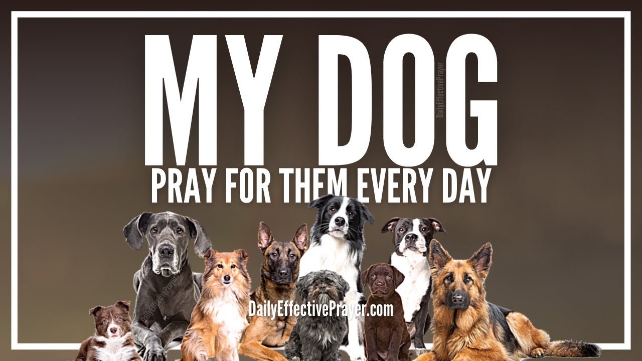 prayer for my sick dog