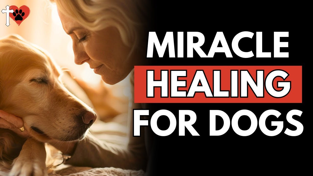 prayer for the sick dog
