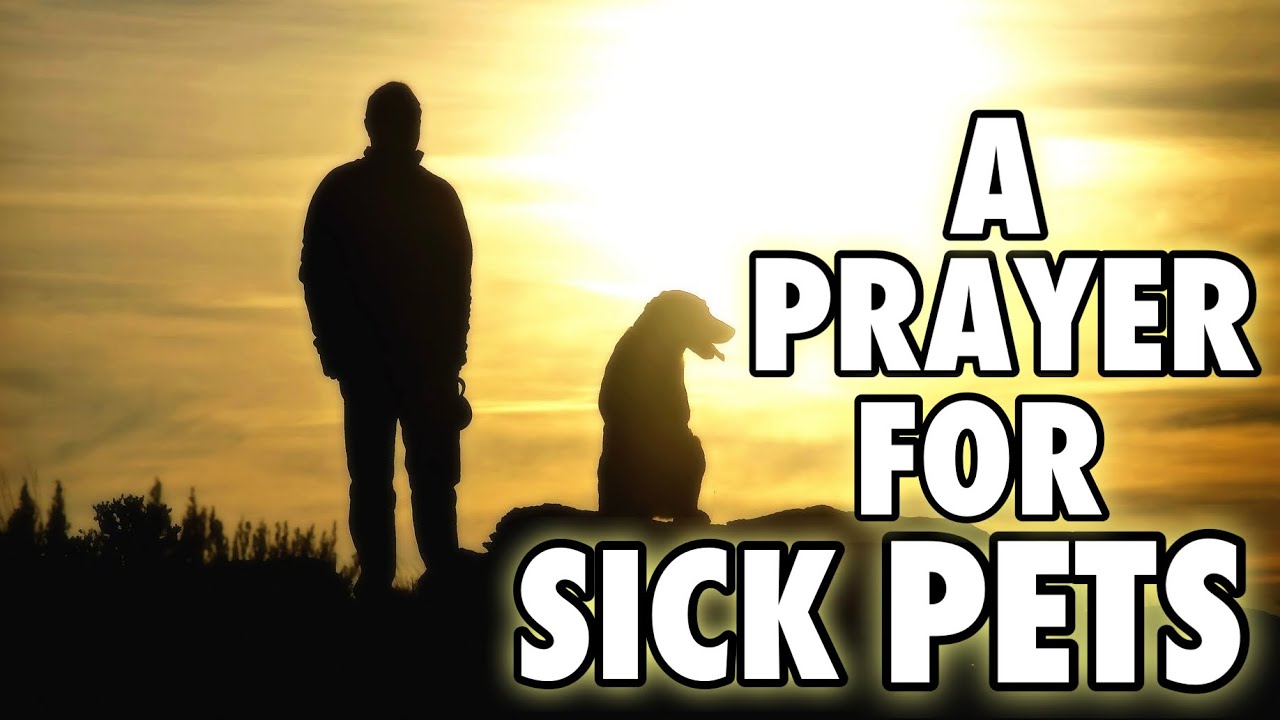 prayer for sick rabbit