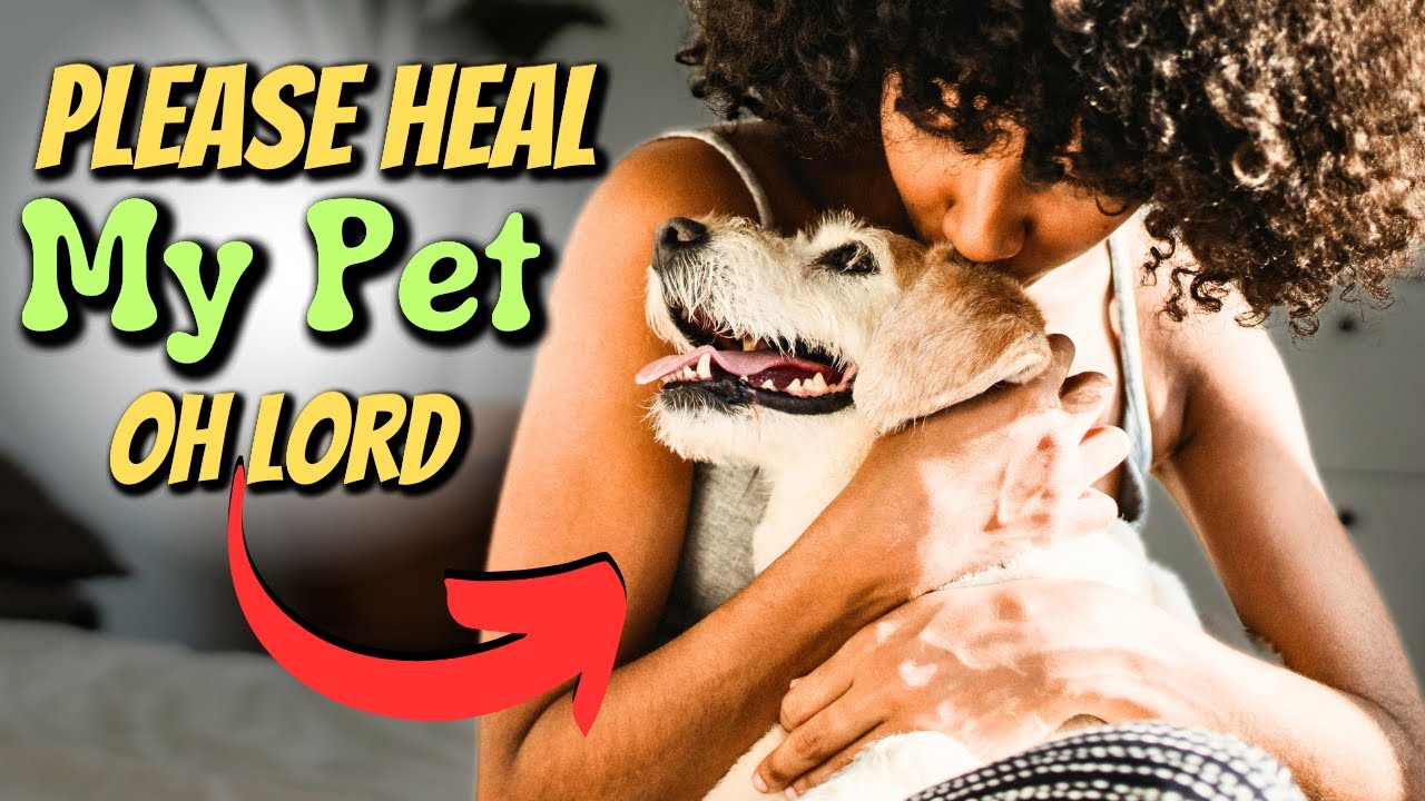 prayer for the sick pet