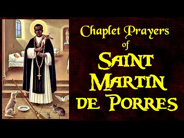 saint martin de porres miracles prayer