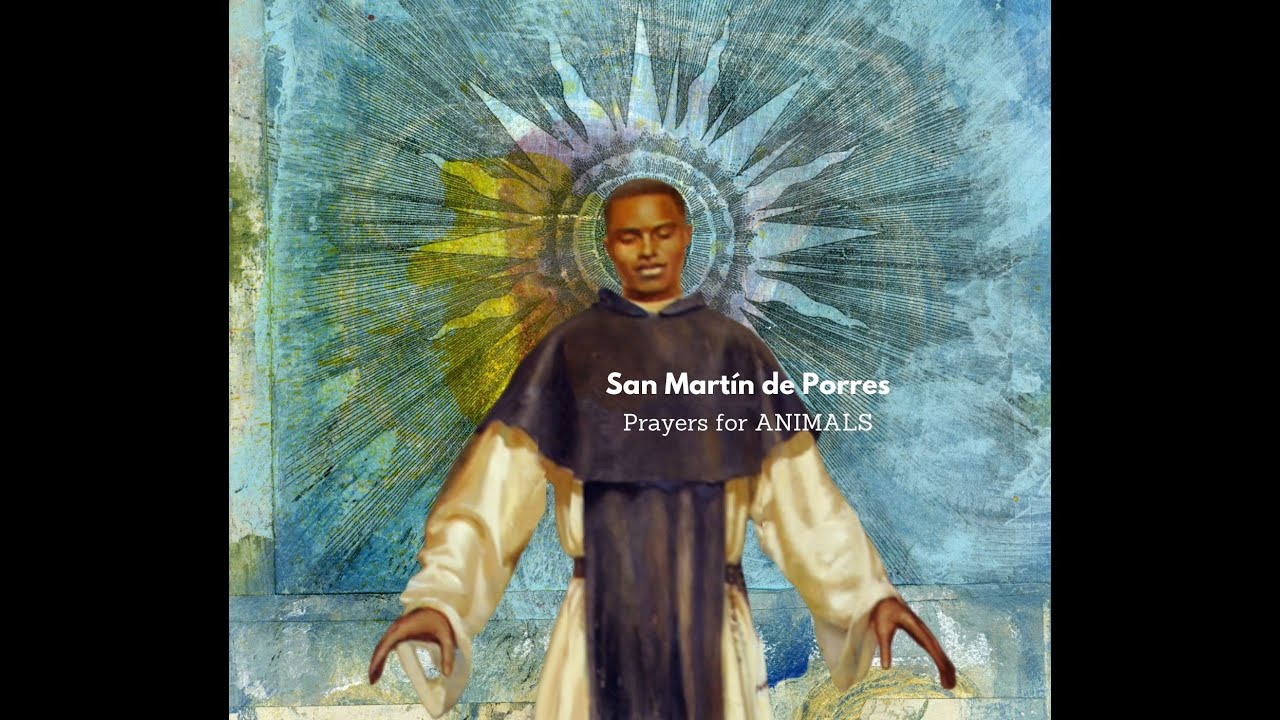st martin de porres prayer for animals