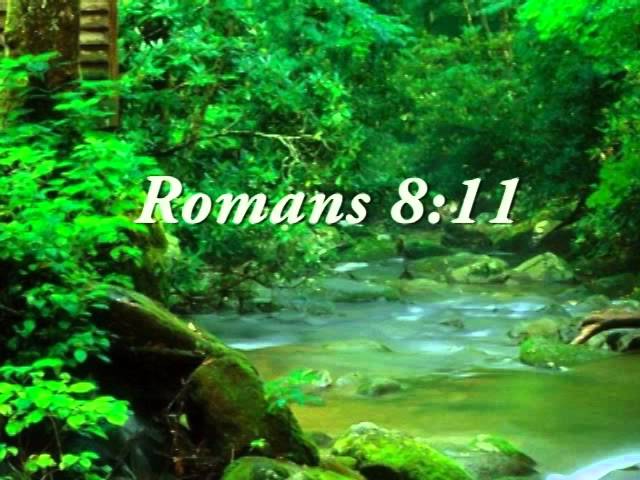 bible portion for healing