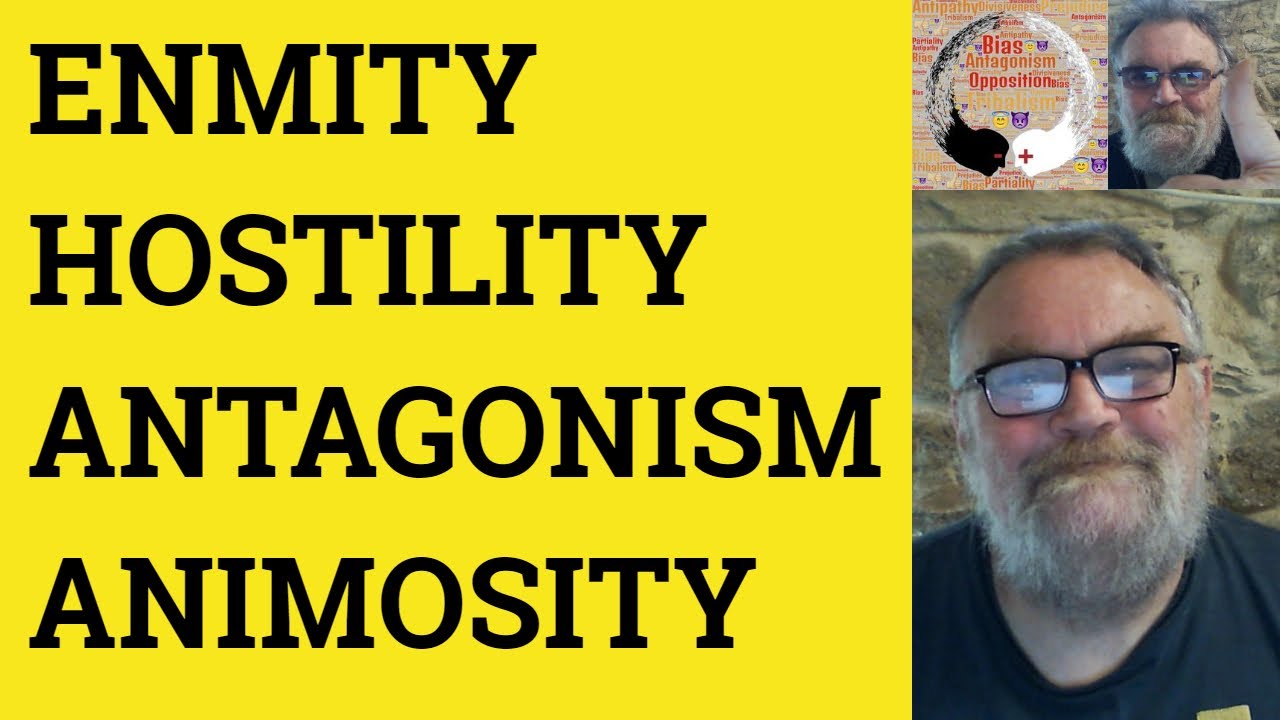 enmity defined