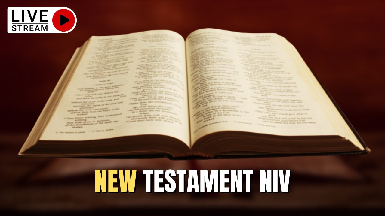 niv bible online