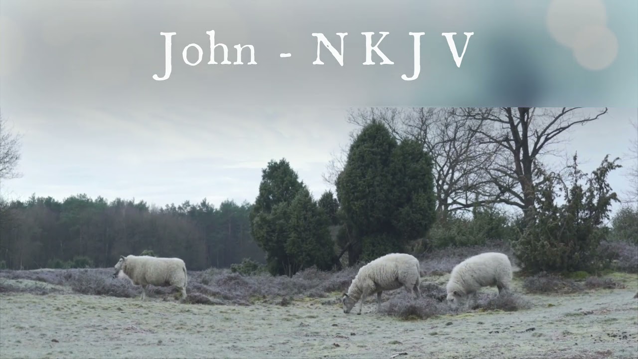 nkjv bible online