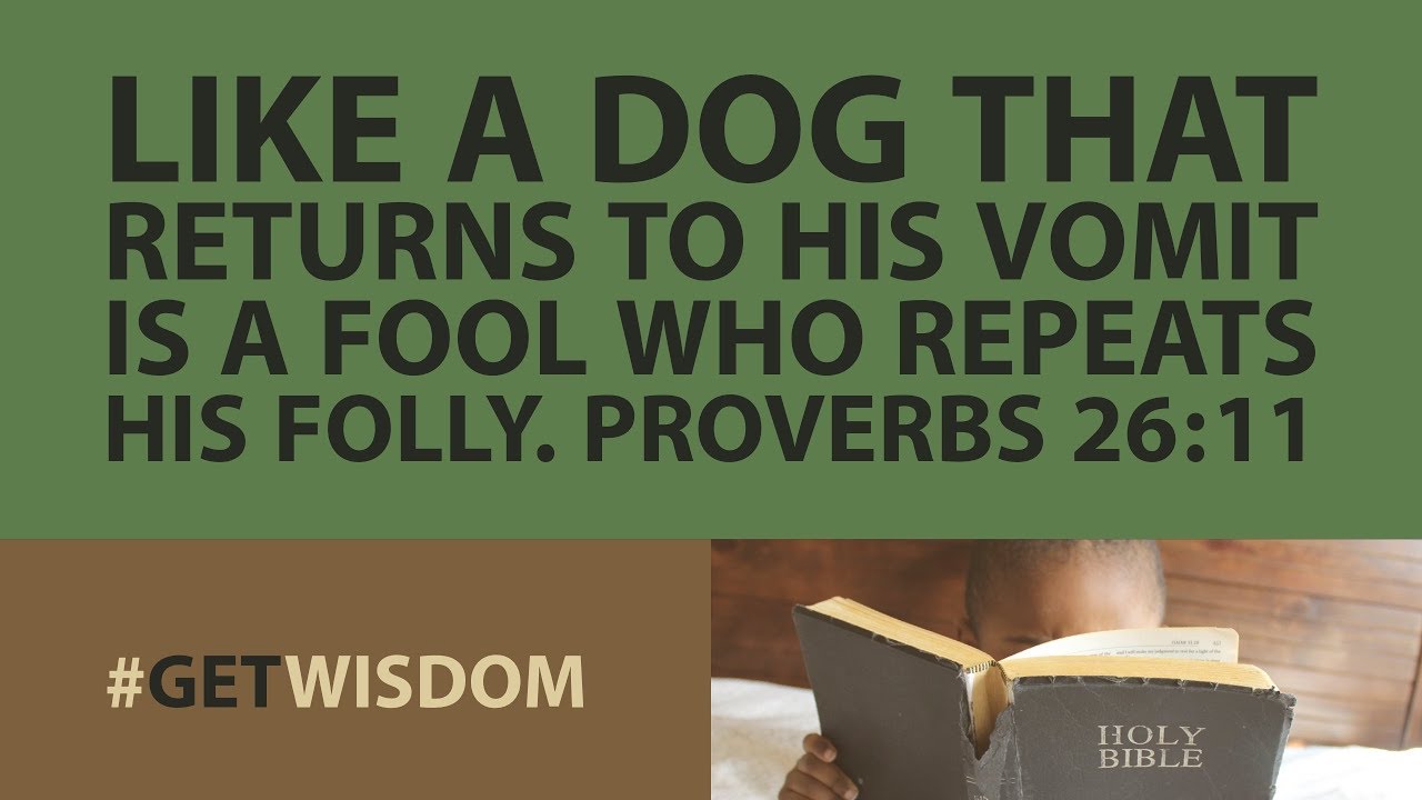 proverbs 26:11