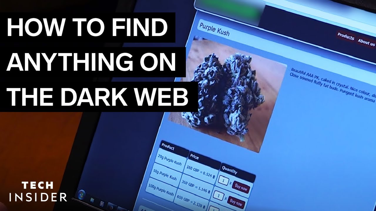 how to search the dark web