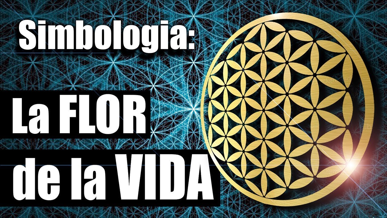significados simbolicos de las formas geometricas de los circulos a los dodecagramas