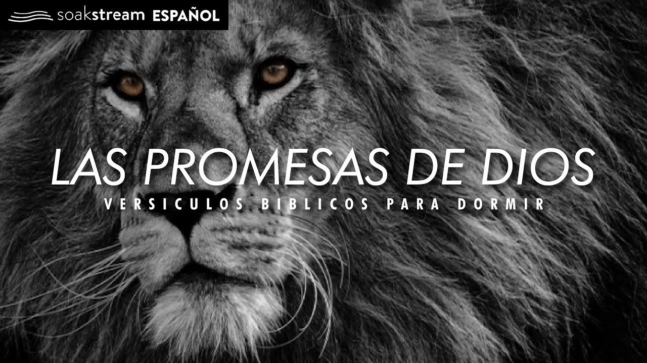 textos biblicos