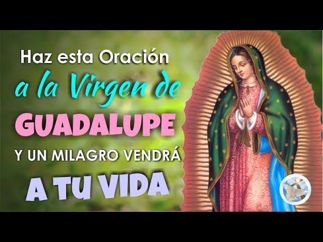 virgen de guadalupe