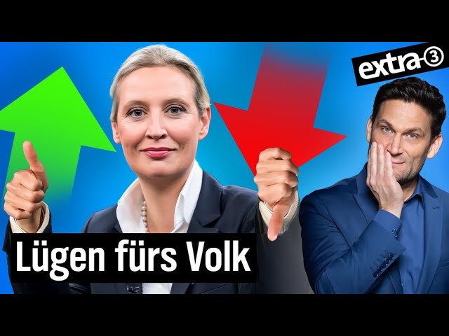 afd wählen