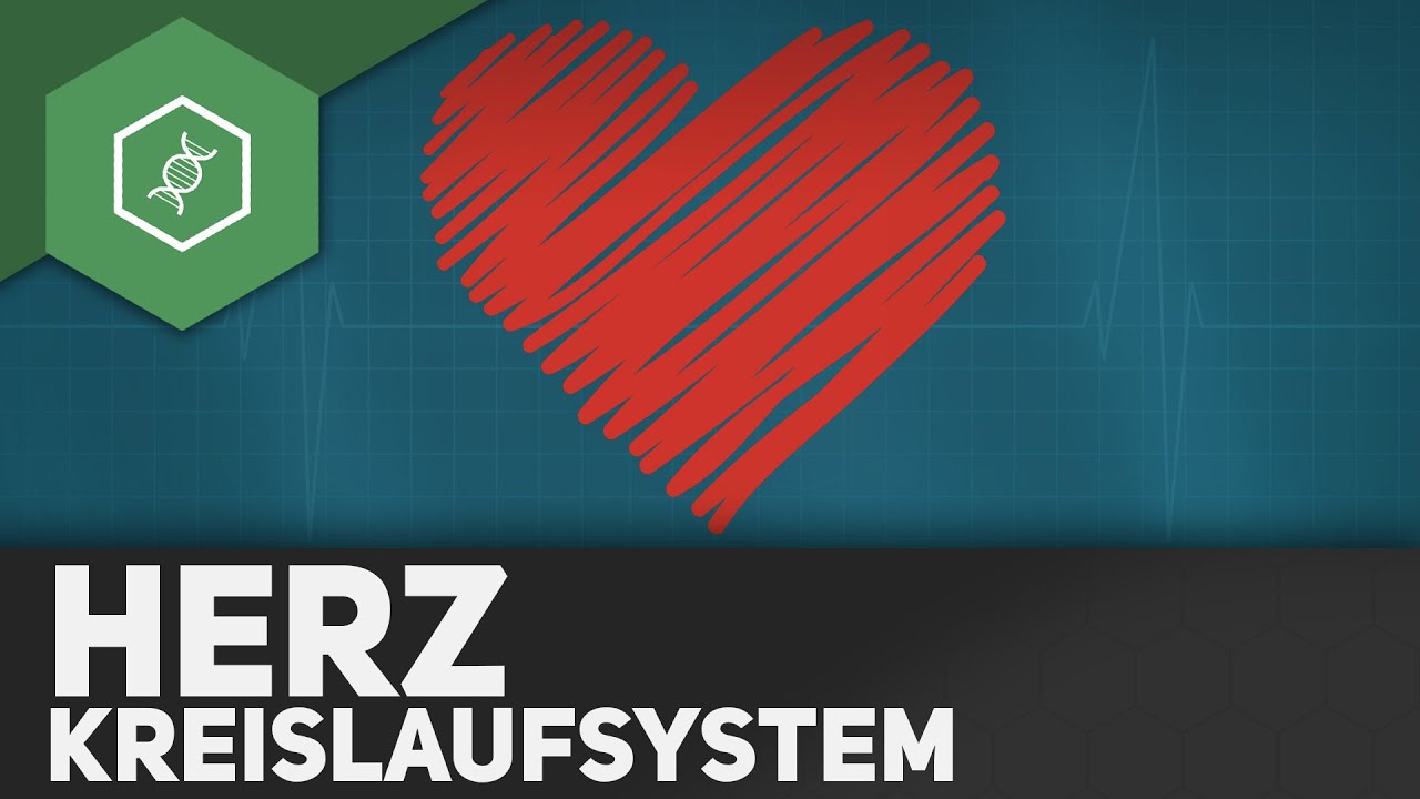 das herz