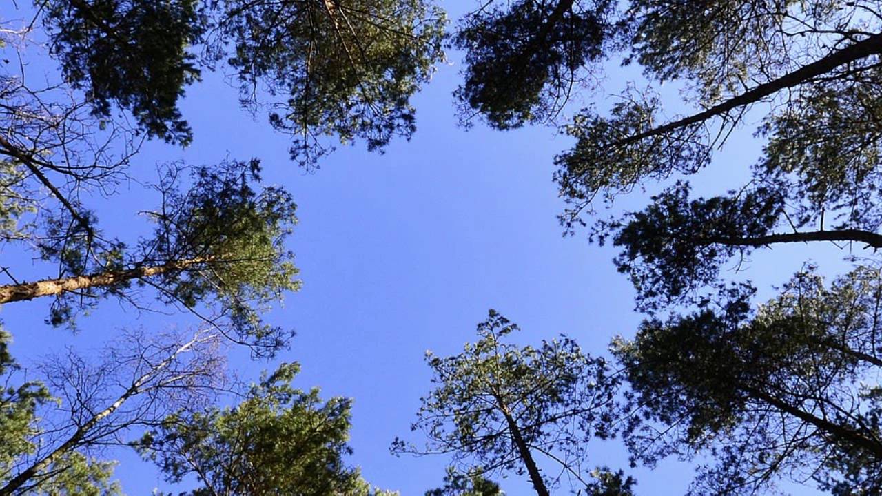Er ist auferstanden, er ist wahrhaftig auferstanden: 7 Wege zu neuer Hoffnung 3 er ist auferstanden er ist wahrhaftig auferstanden