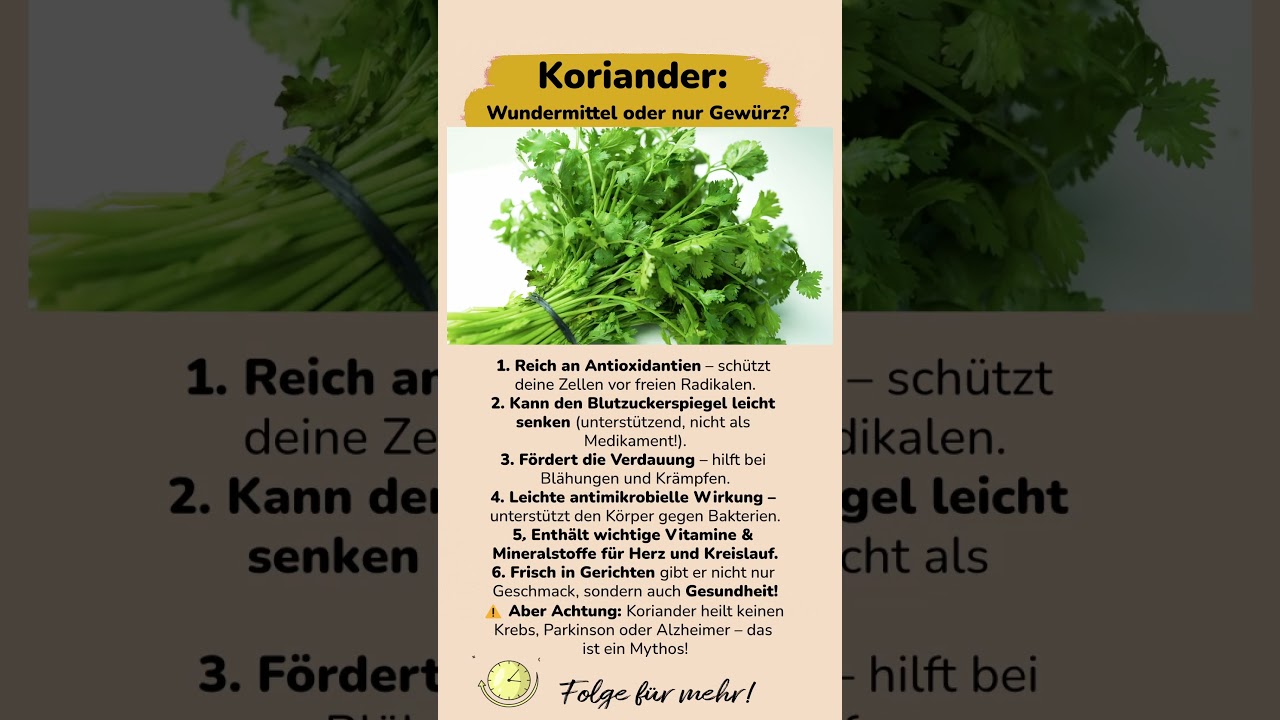 koriander gesundheit