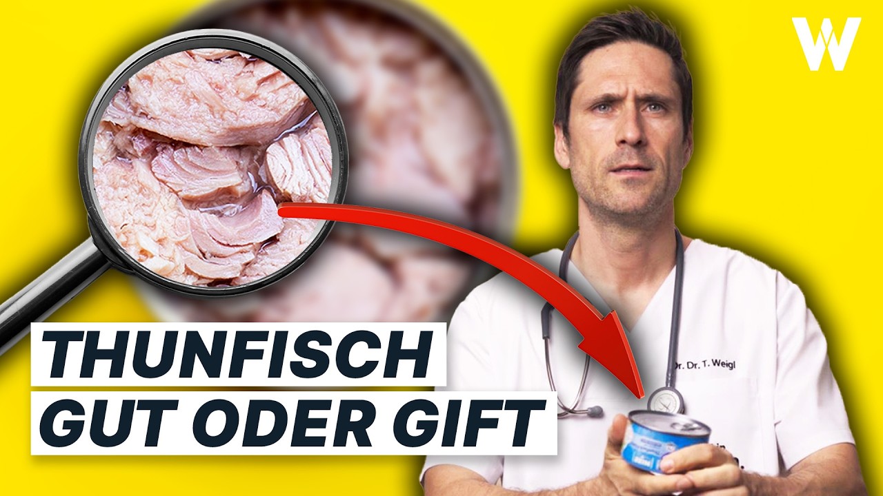thunfisch gesundheit