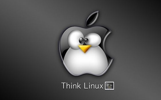 Jak nainstalovat linux na Macbook Pro 4 Jak nainstalovat linux na Macbook Pro