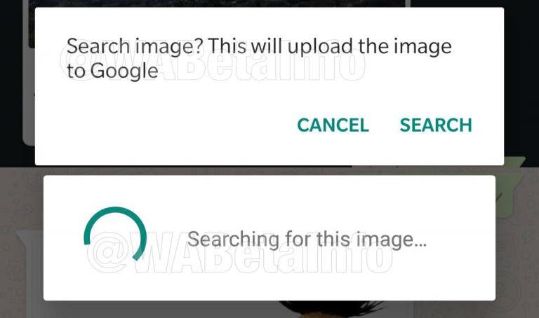 Nová funkce WhatsApp v dohledu: integrované vyhledávání obrázků Google 1602949747 673 Nova funkce WhatsApp v dohledu integrovane vyhledavani obrazku Google