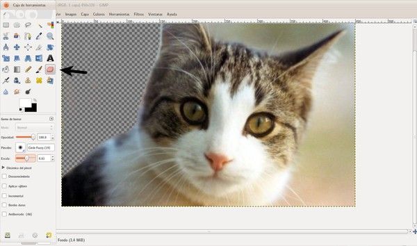 Jak vytvořit fotomontáž pomocí GIMP 3 kočka