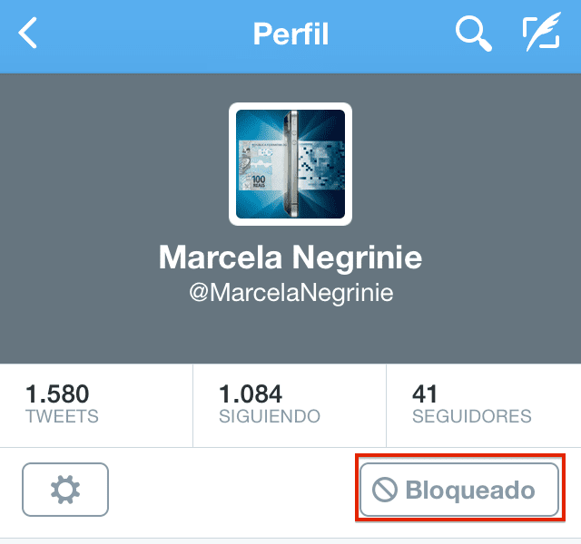 block-twitter6