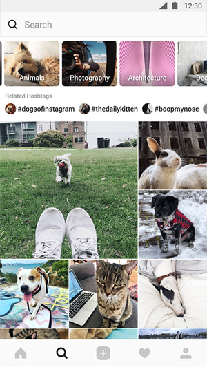 Obrázek - Instagram vysvětluje, jak funguje algoritmus, který třídí fotografie na časové ose
