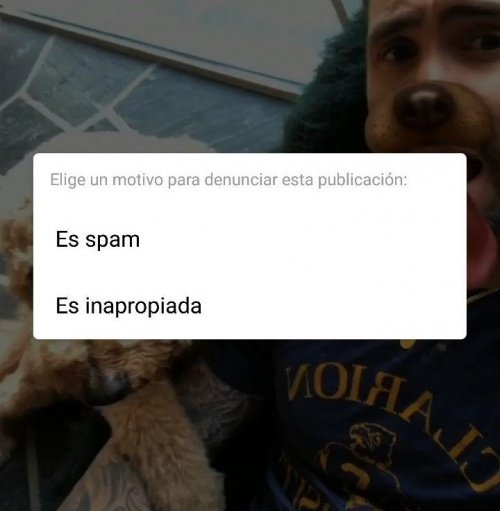 Obrázek - Jak nahlásím video na IGTV
