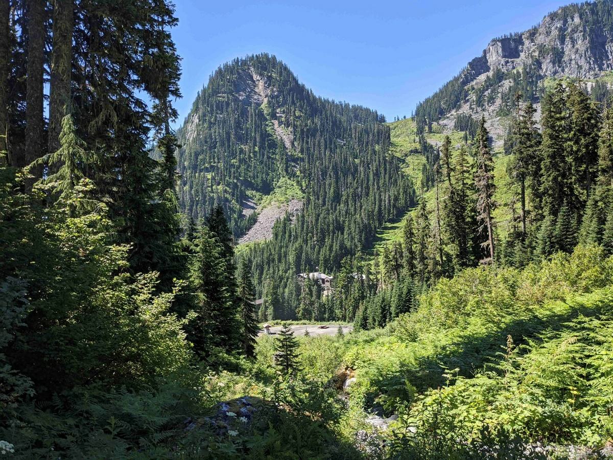fotografie pořízená google pixel 4a