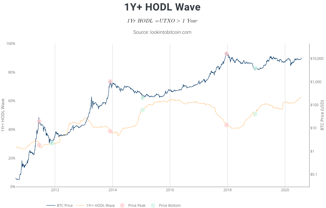 1Y + HODL Wave