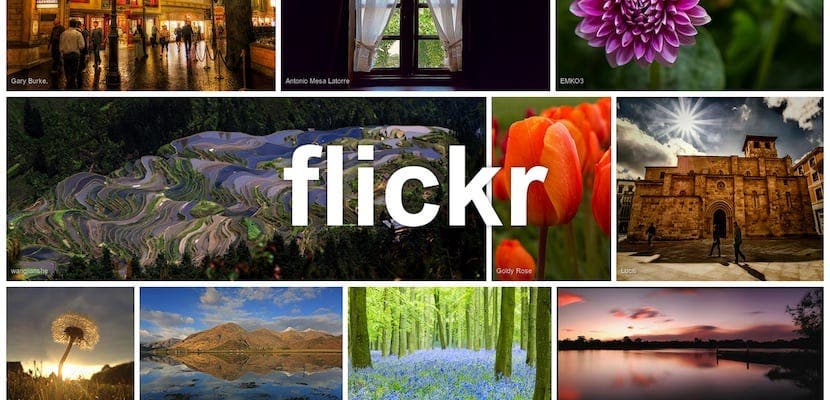 Flickr