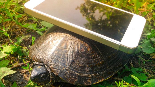 Je internet na vašem mobilním telefonu pomalý? Naučíme vás, jak zrychlit internet 9 Je internet na vašem mobilním telefonu pomalý? Naučíme vás, jak zrychlit internet 1603123373 745 Je internet na vasem mobilnim telefonu pomaly Naucime vas jak