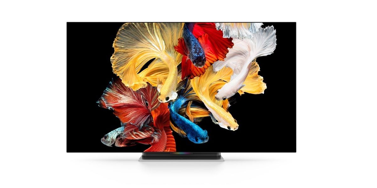Úžasný 65palcový 4K OLED panel