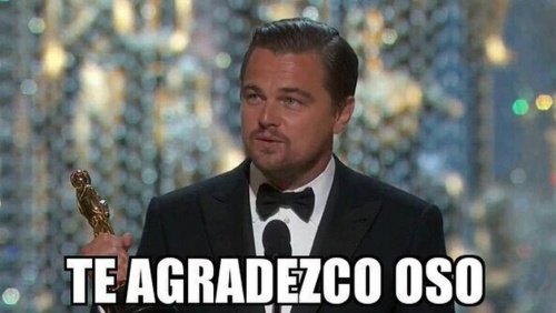 Nejlepší memy a Oscary Leonarda DiCapria 12 Obrázek - Nejlepší memy Leonarda DiCapria a jeho Oscara
