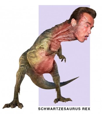 Obrázek - Memy Arnolda Schwarzeneggera se rozšířily na Facebook