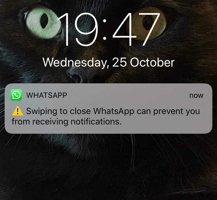 Posunutím zavřete WhatsApp, jak používat tuto funkci? 1603159403 25 Posunutim zavrete WhatsApp jak pouzivat tuto funkci