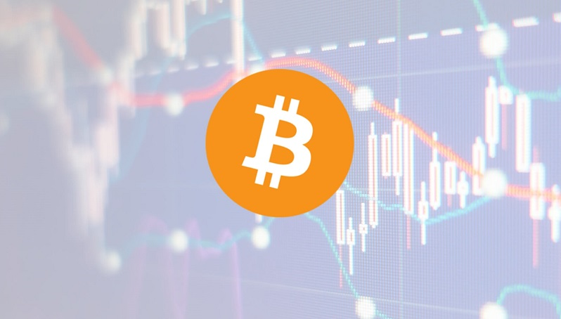 Sdílení expertů Bexplus Trader: Které bitcoinové investice mohou být ziskové?