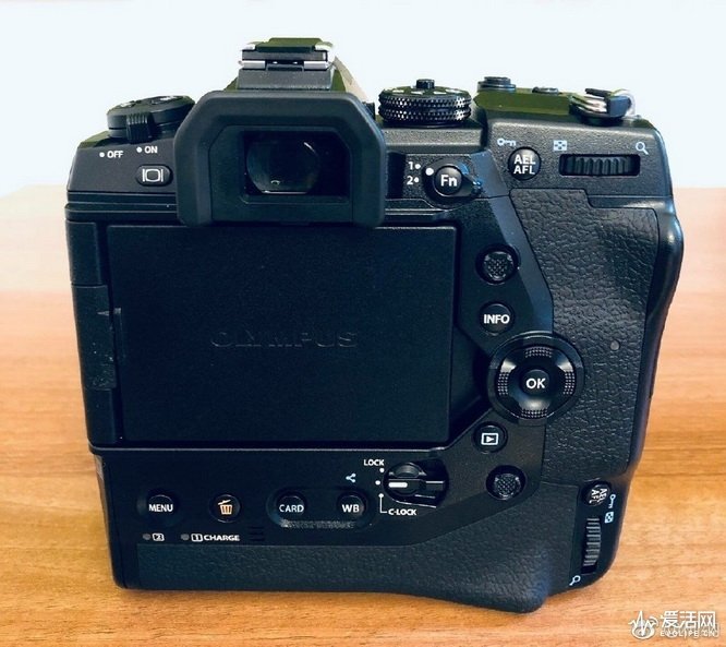 Olympus E-M1X
