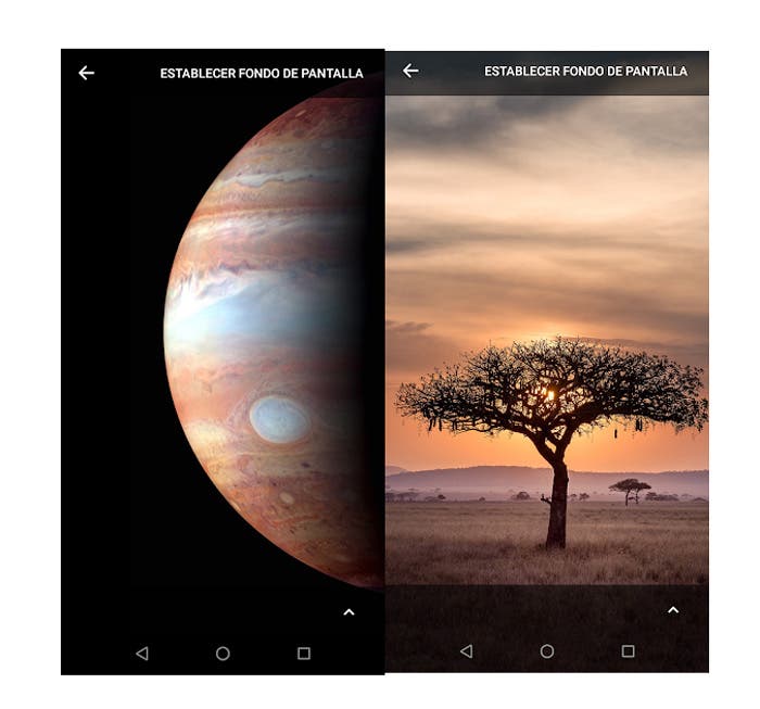 Aktualizace tapet Google s příchodem Pixel 3 Aktualizace tapet Google s prichodem Pixel 3