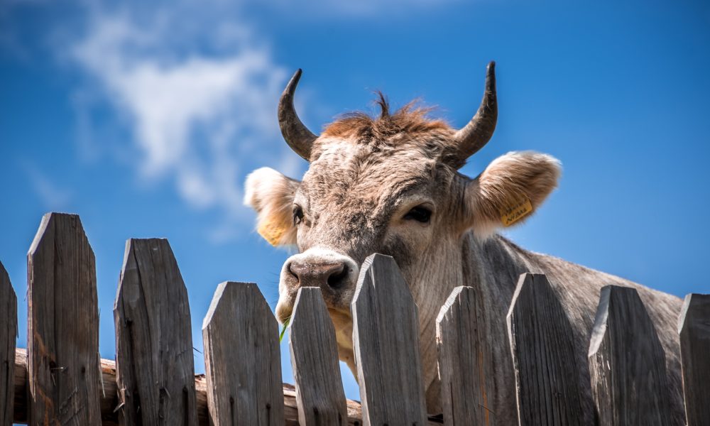 Bitcoin [BTC/USD] Technická analýza: Bulls převzít v rámci ...
