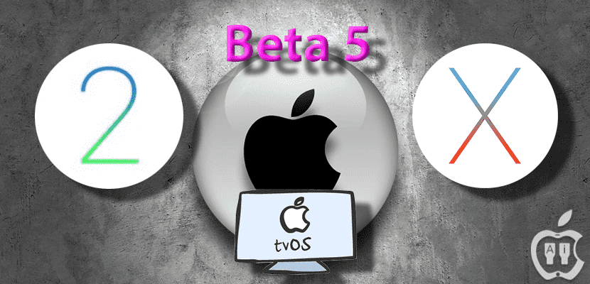 beta-5