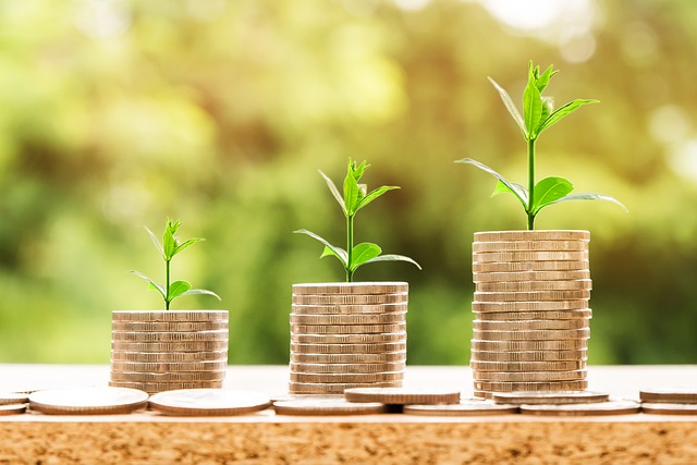 Hodium nabízí atraktivní příležitost pro obrovské návratnosti investic