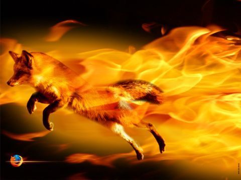 The_Firefox
