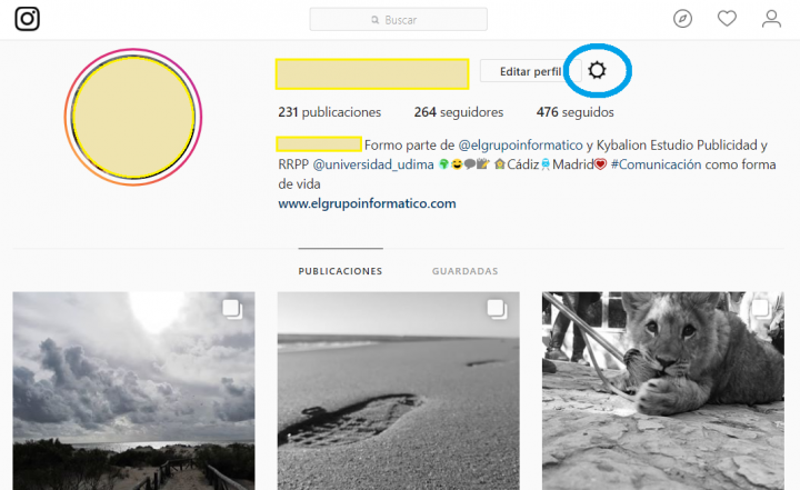 Vizuální - Jak stahovat fotografie, videa a příběhy z Instagramu
