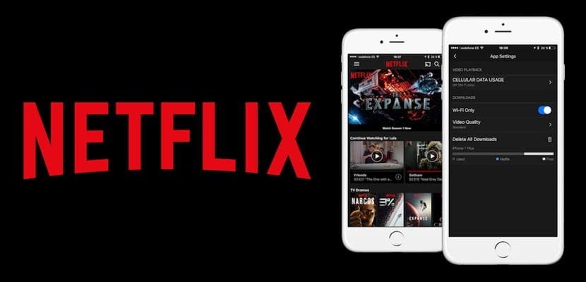 netflix indirme