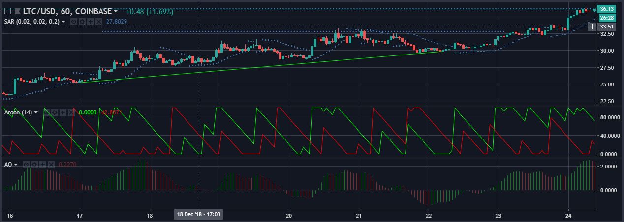 LTCUSD 1hodinové svícny | Zdroj: tradingview